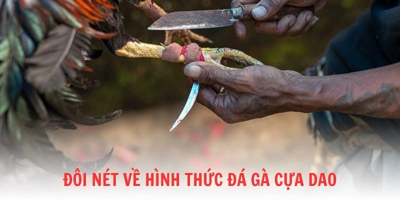 Đôi nét về đá gà cựa dao